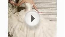2014 Champagne wedding dresses trends