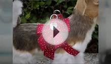 Small Dog Boutique - Keep Up With The Fashion Trends